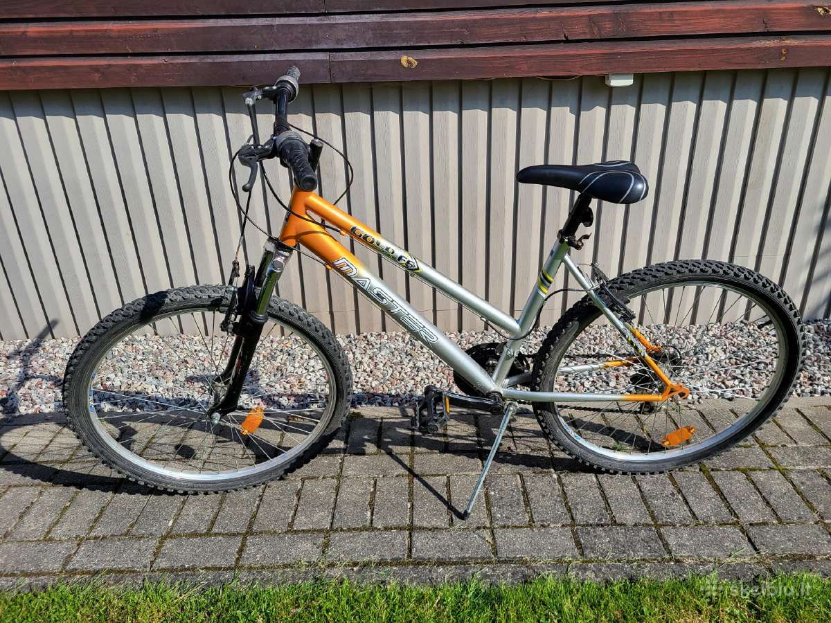 Gold Master F6 dviratis, 26" ratai - nuotraukos Nr. 2
