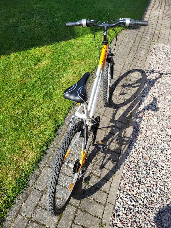 Gold Master F6 dviratis, 26" ratai - nuotraukos Nr. 3