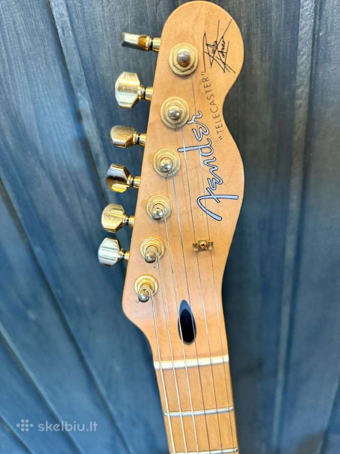 Fender Richie Kotzen Telecaster – Made in Japan - nuotraukos Nr. 5
