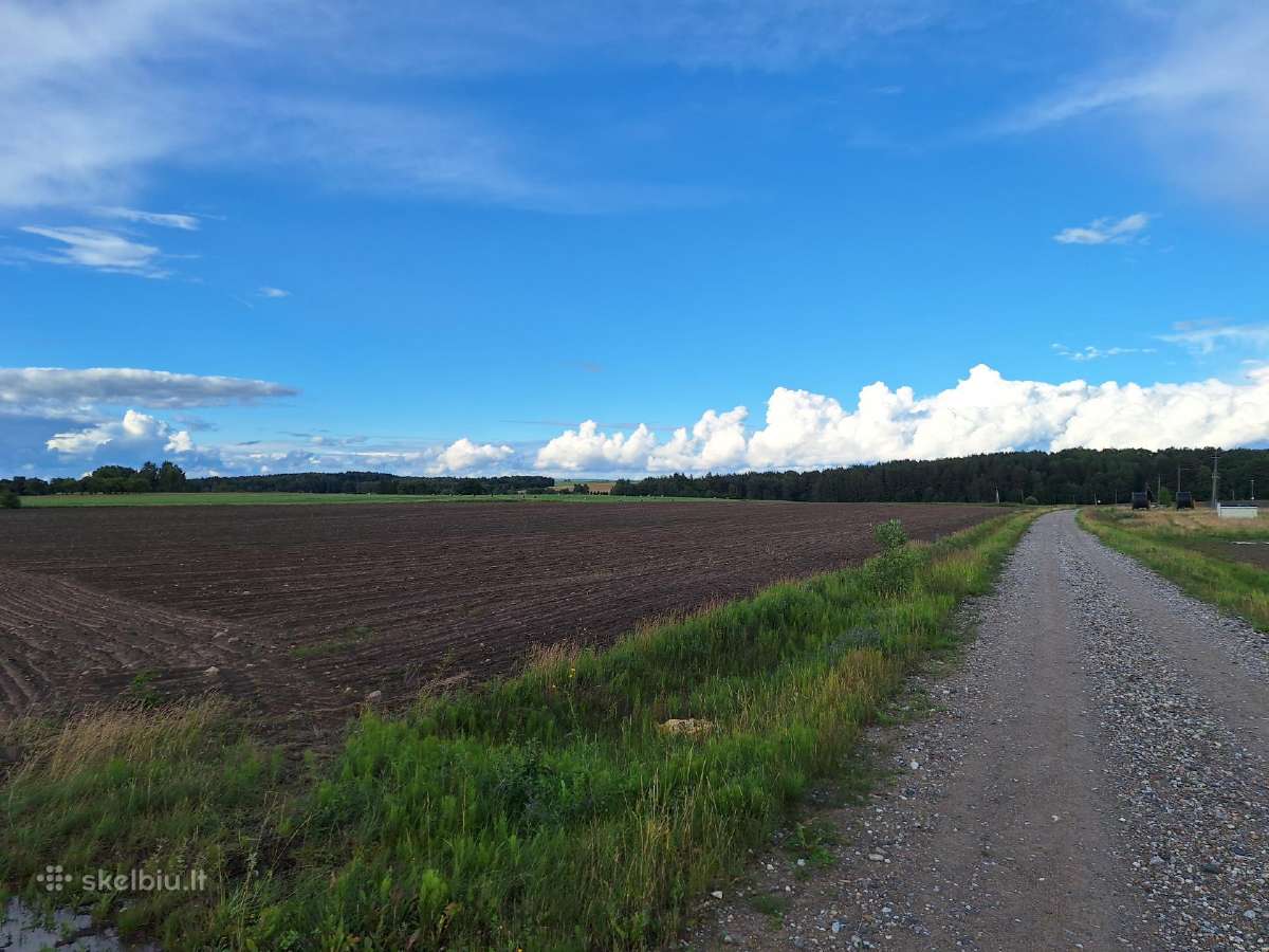 Parduodamas Žemės Ūkio Paskirties Sklypas - nuotraukos Nr. 2
