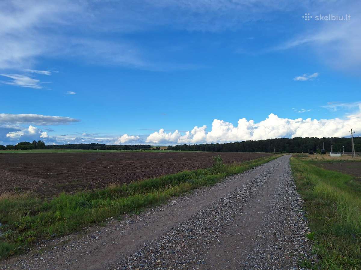Parduodamas Žemės Ūkio Paskirties Sklypas - nuotraukos Nr. 4