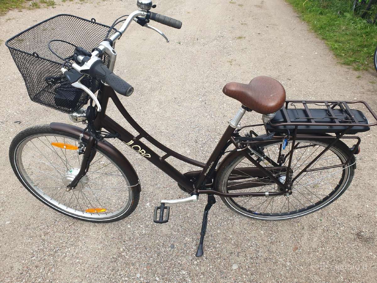 El.moteriskas retro stiliaus 28" - nuotraukos Nr. 3