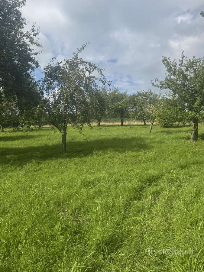 Parduodamas Namas Gecialaukyje - nuotraukos Nr. 10