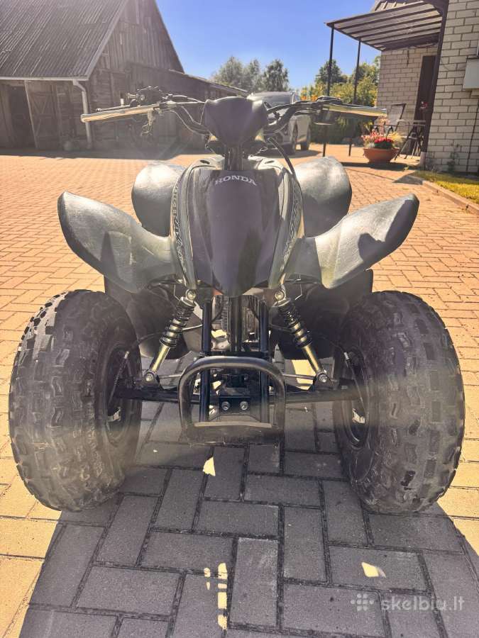 Keturatis honda - nuotraukos Nr. 5