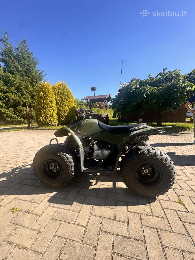 Keturatis honda - nuotraukos Nr. 7