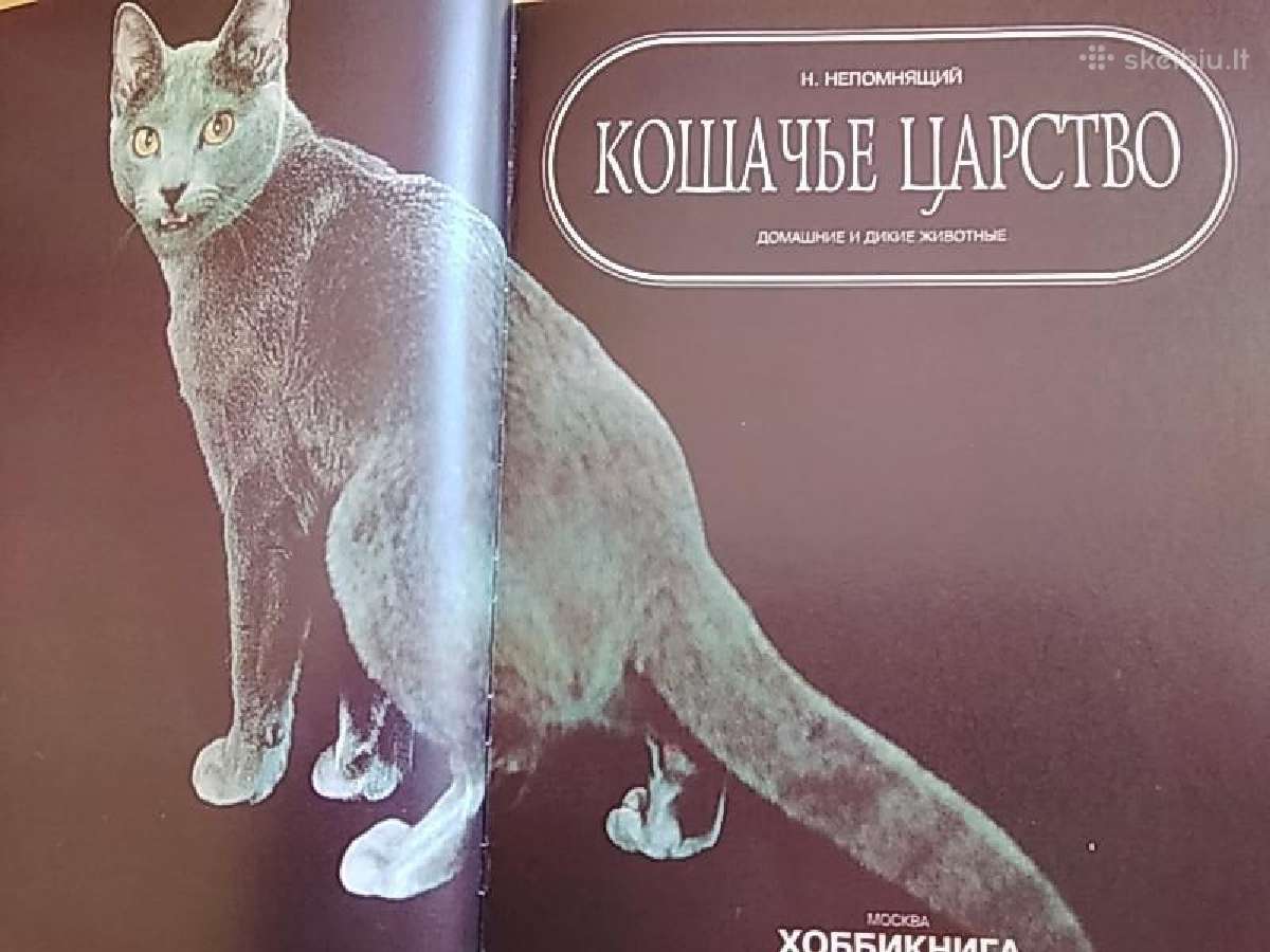 N. Nepomniachtch "Kačių karalystė" - nuotraukos Nr. 2