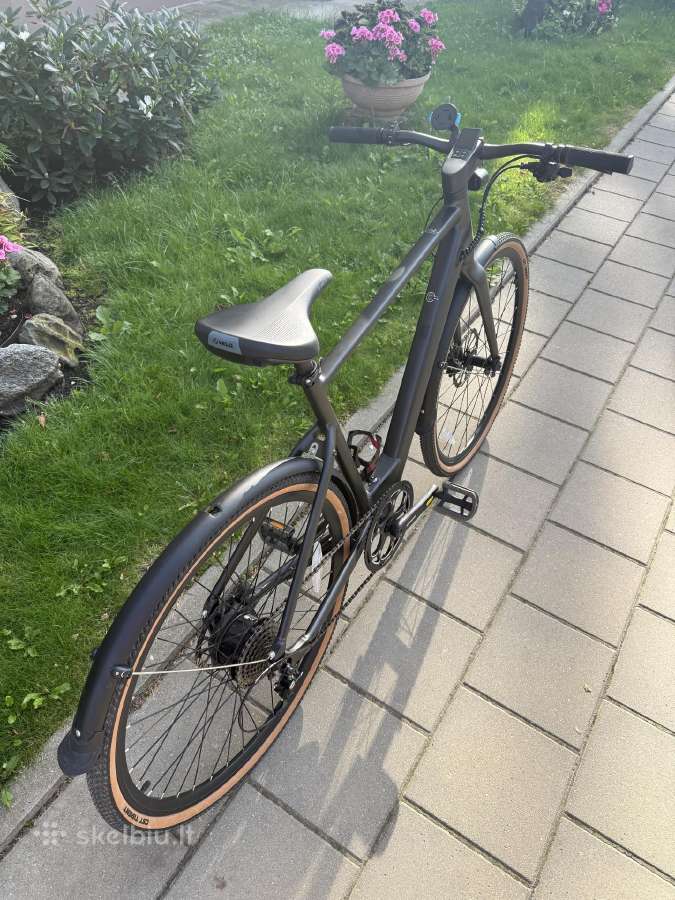 Elektrinis dviratis Fiido E-gravel C21 - nuotraukos Nr. 2