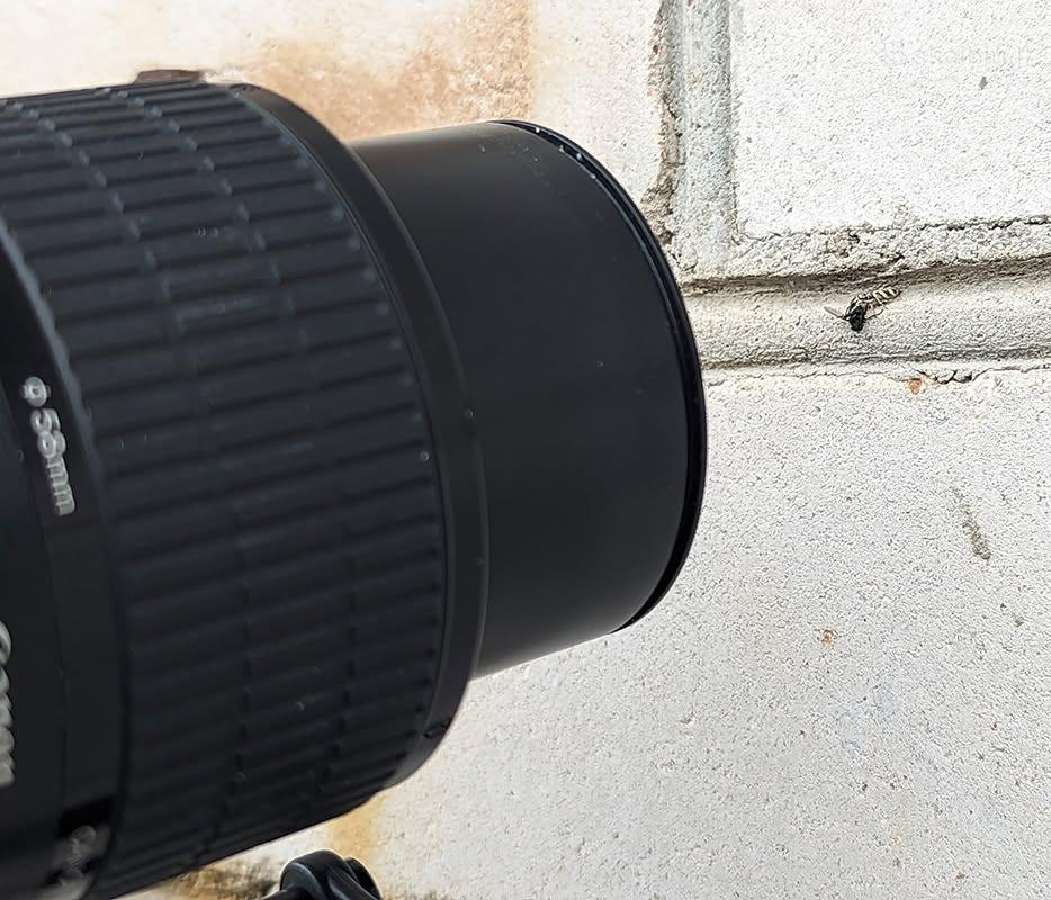 Parduodamas unikalus makro objektyvas Canon Mp-e 6 - nuotraukos Nr. 4