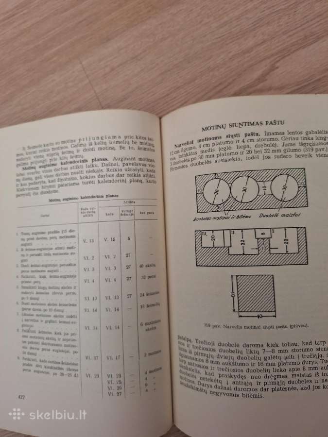 Bitininkystė. 1961m. - nuotraukos Nr. 4
