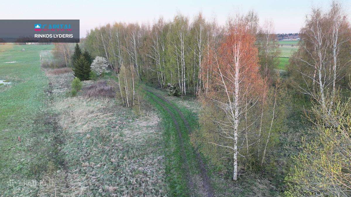 Sklypas prie Bubių tvenkinio - nuotraukos Nr. 9
