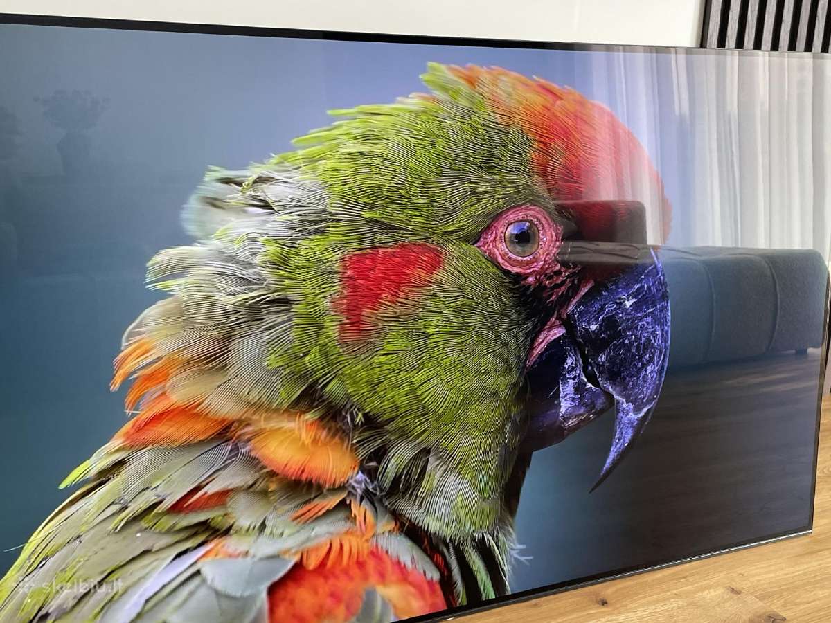Sony Bravia Kd-65a1 - nuotraukos Nr. 4
