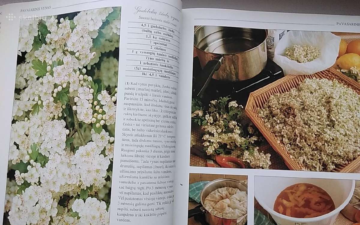 Naminio vyno gamybos paslaptys - nuotraukos Nr. 7