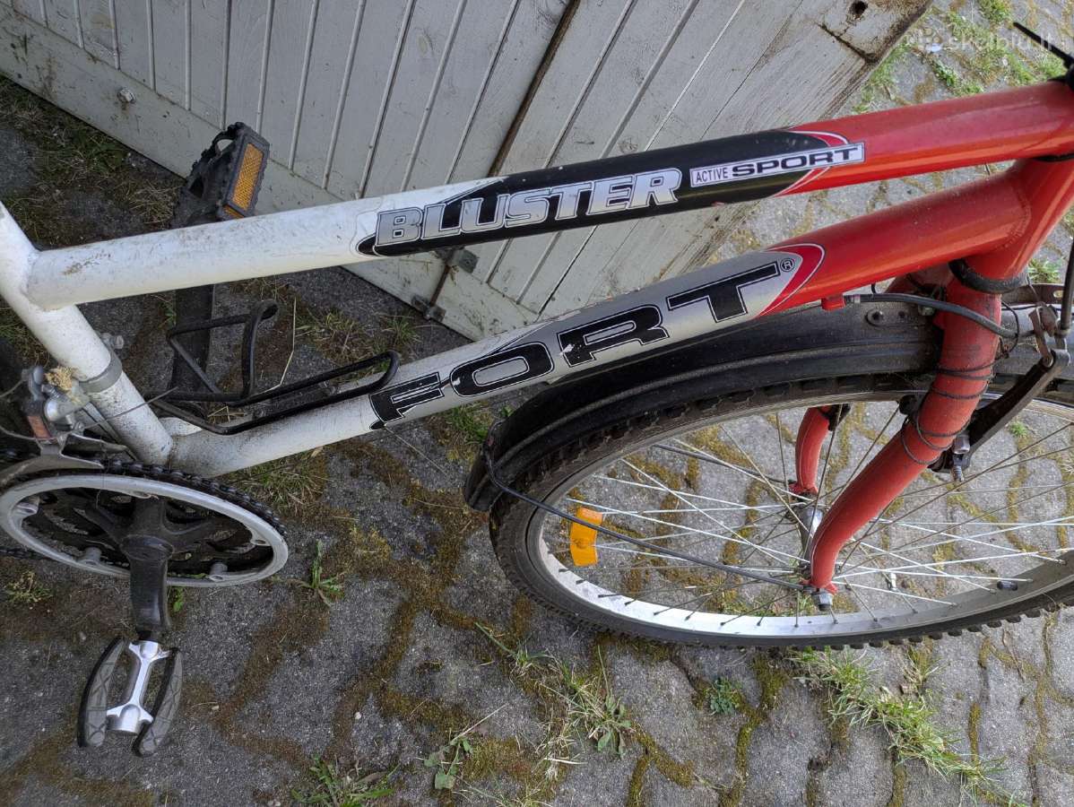 Dviratis Fort Bluster active sport - nuotraukos Nr. 2