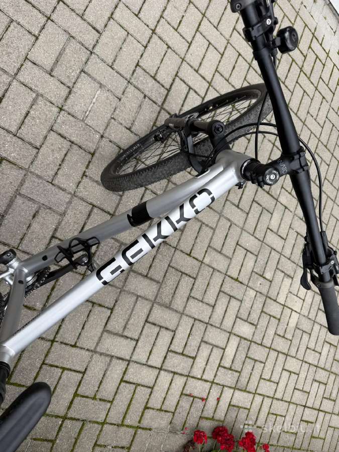 Gekko - nuotraukos Nr. 5