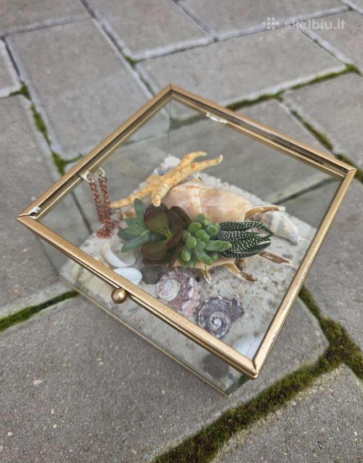 Sukulentų kompozicija stiklo dėžutėje - nuotraukos Nr. 2