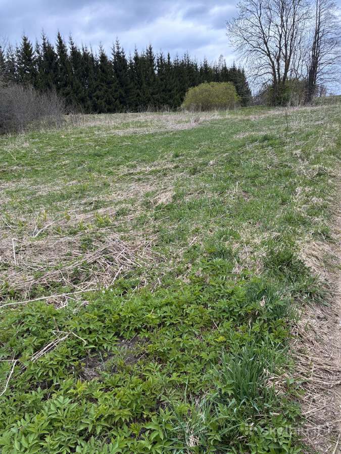 Sklypas vienbučiu, dvibučiu namu statybai - nuotraukos Nr. 2