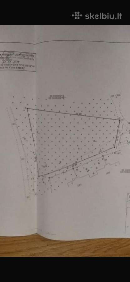 Alytuje parduodamas 20aru sklypas - nuotraukos Nr. 2