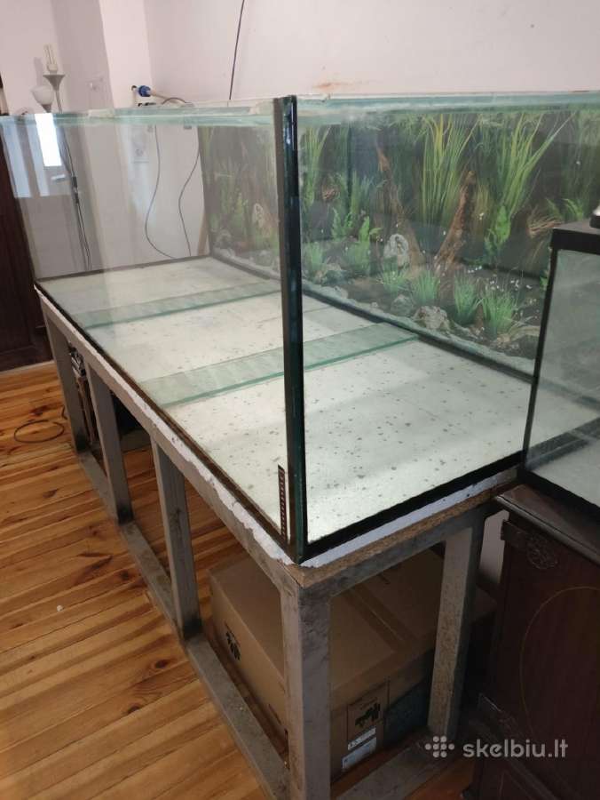 Didelis akvariumas su stovu - nuotraukos Nr. 2