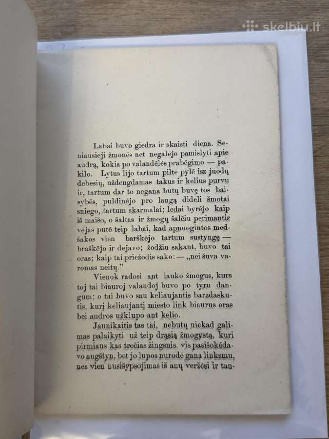 Užkeikta mergele su barzda ir barzdaskutis 1907 m - nuotraukos Nr. 3
