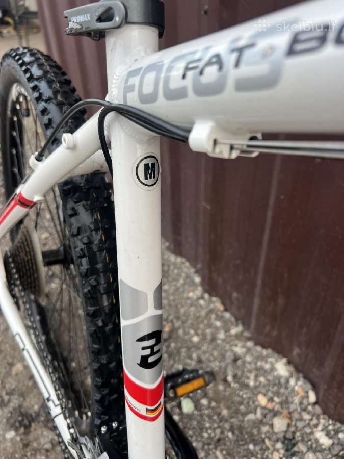 Dviratis Focus Fat Boy - nuotraukos Nr. 2