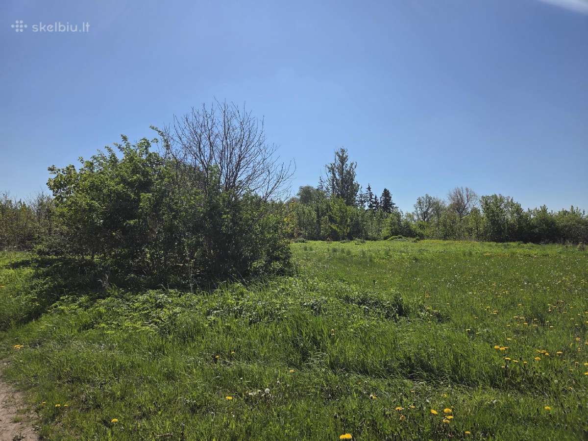 Žemės sklypas 0.5 ha - nuotraukos Nr. 3