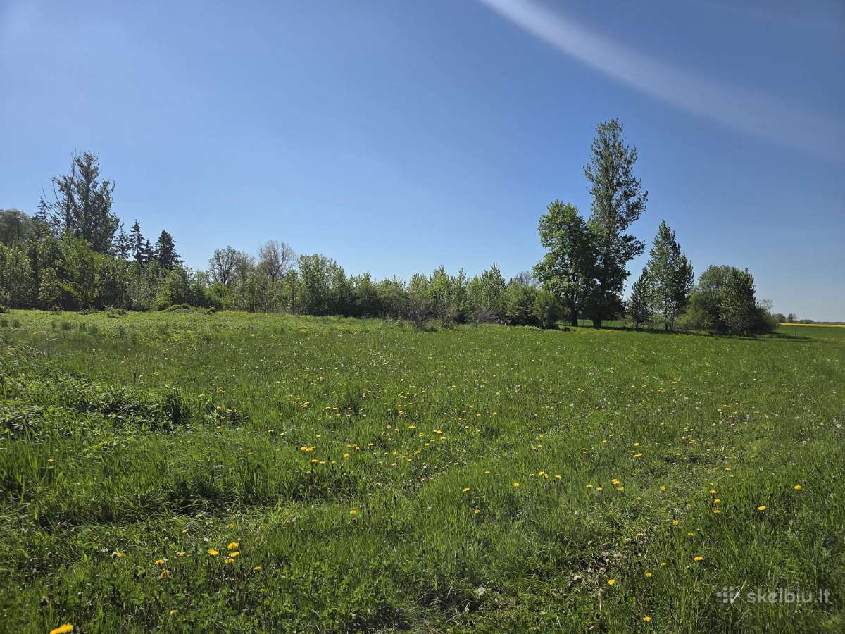 Žemės sklypas 0.5 ha - nuotraukos Nr. 4
