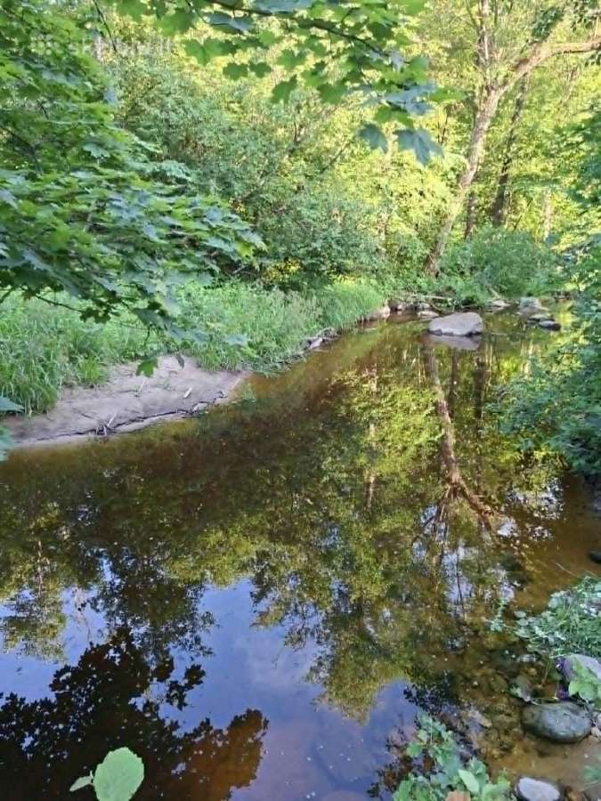 Sodyba Kubilių piliakalnis - nuotraukos Nr. 16