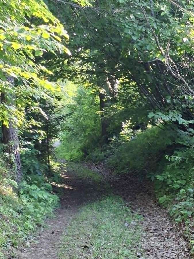Sodyba Kubilių piliakalnis - nuotraukos Nr. 18