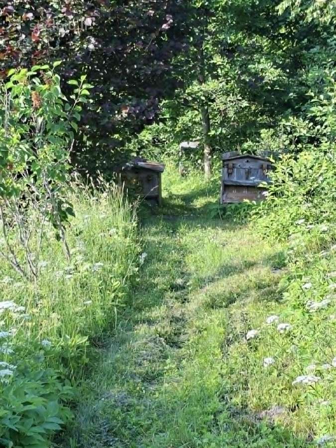 Sodyba Kubilių piliakalnis - nuotraukos Nr. 19
