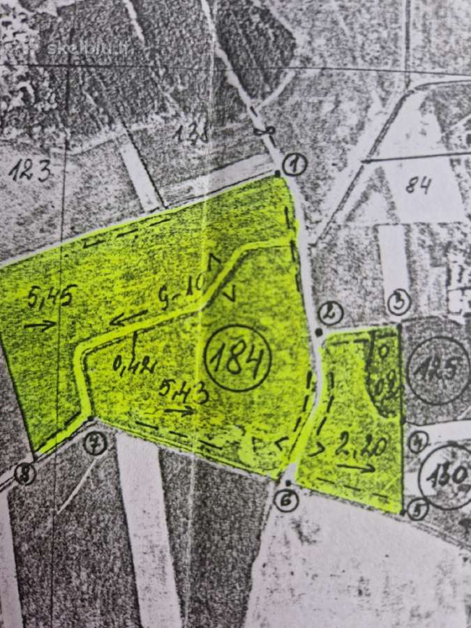 Kazlų Rūdos sav.13,80 ha žemės slypas - nuotraukos Nr. 3