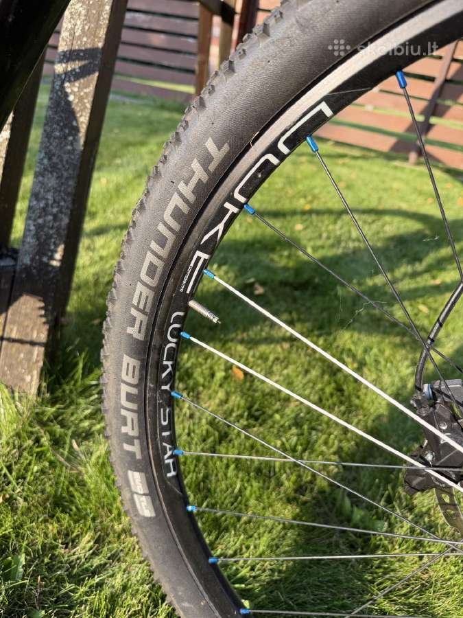 Orbea Alma M50 XTR L dydis MTB - nuotraukos Nr. 7