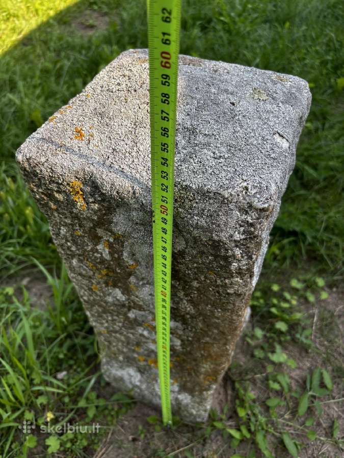 Girnapusė didelė - nuotraukos Nr. 15