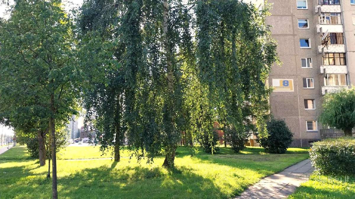 Didelis kambarys studentui vaikinui Eiguliai, Ši - nuotraukos Nr. 11