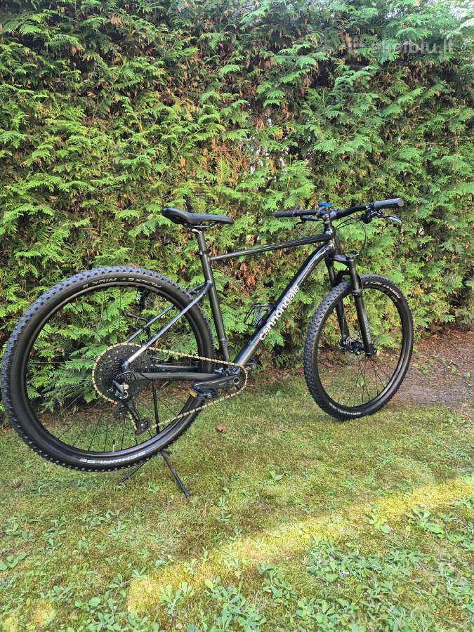 Cannondale Trail SL 3 29 Deore 1x12 - nuotraukos Nr. 9