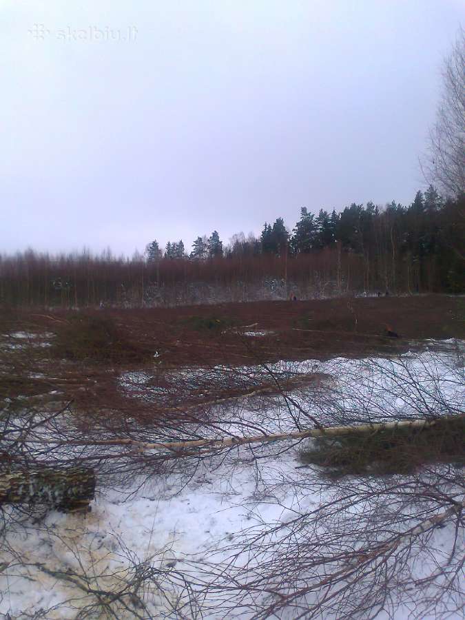 Tvarkome apleistus laukus,zemes.mokame iki100eu/ha | Skelbiu.lt Tvarkome apleistus laukus,zemes.mokame iki100eu/ha