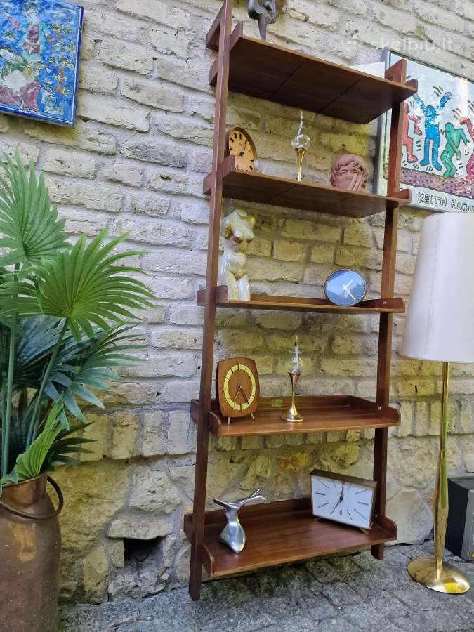 Tikmedžio lentyna - nuotraukos Nr. 3