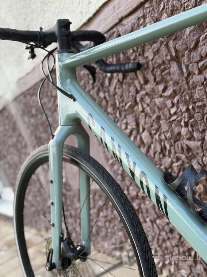 Canyon Grizl 8 1by Campagnolo - nuotraukos Nr. 11