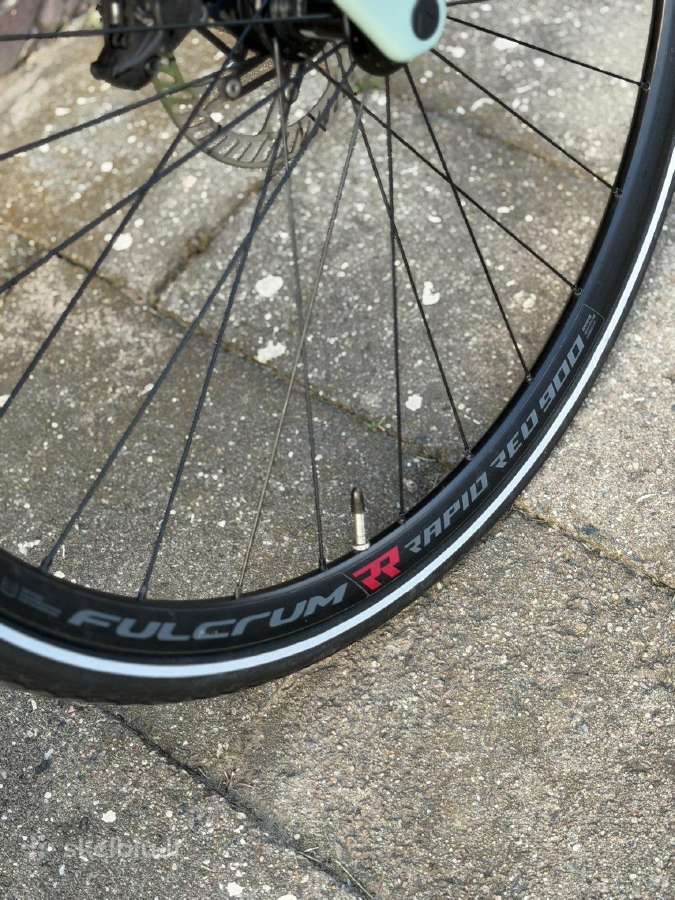 Canyon Grizl 8 1by Campagnolo - nuotraukos Nr. 12
