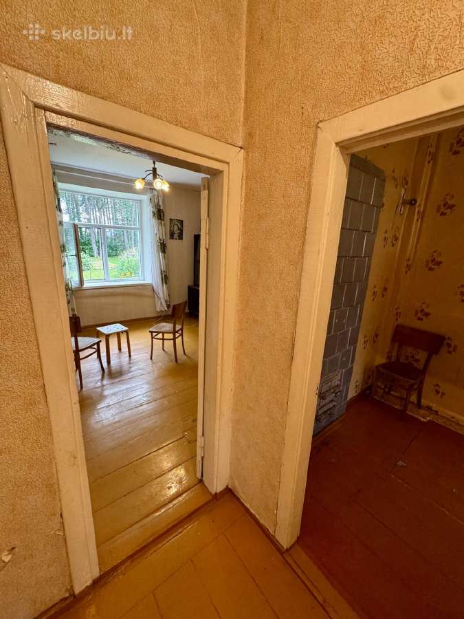 Butas su nuosava žeme Labanoro girios apsuptyje - nuotraukos Nr. 11