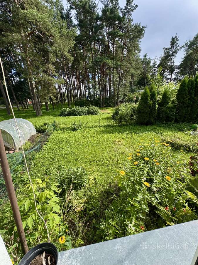 Butas su nuosava žeme Labanoro girios apsuptyje - nuotraukos Nr. 15