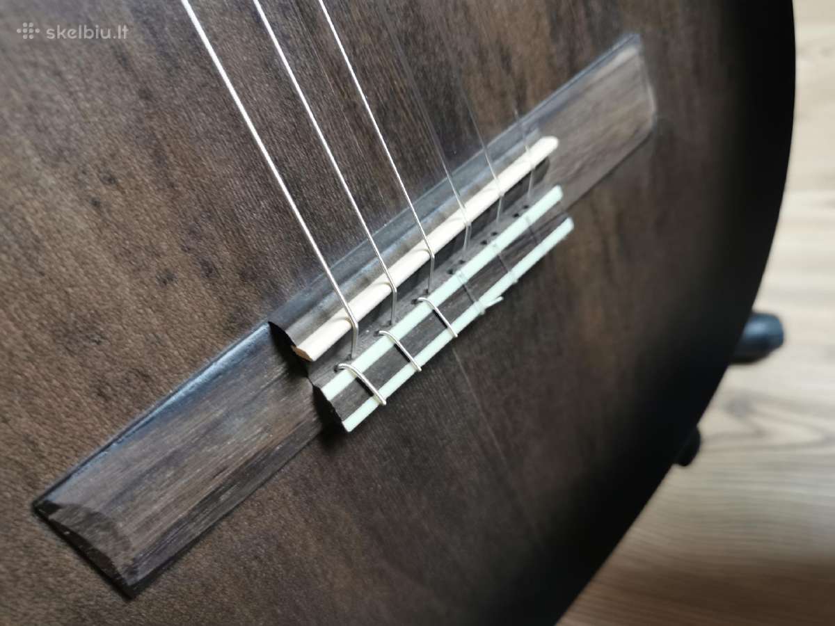 Klasikinė gitara - nuotraukos Nr. 4