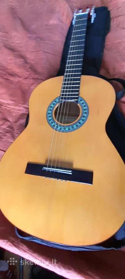 Gitara - nuotraukos Nr. 3