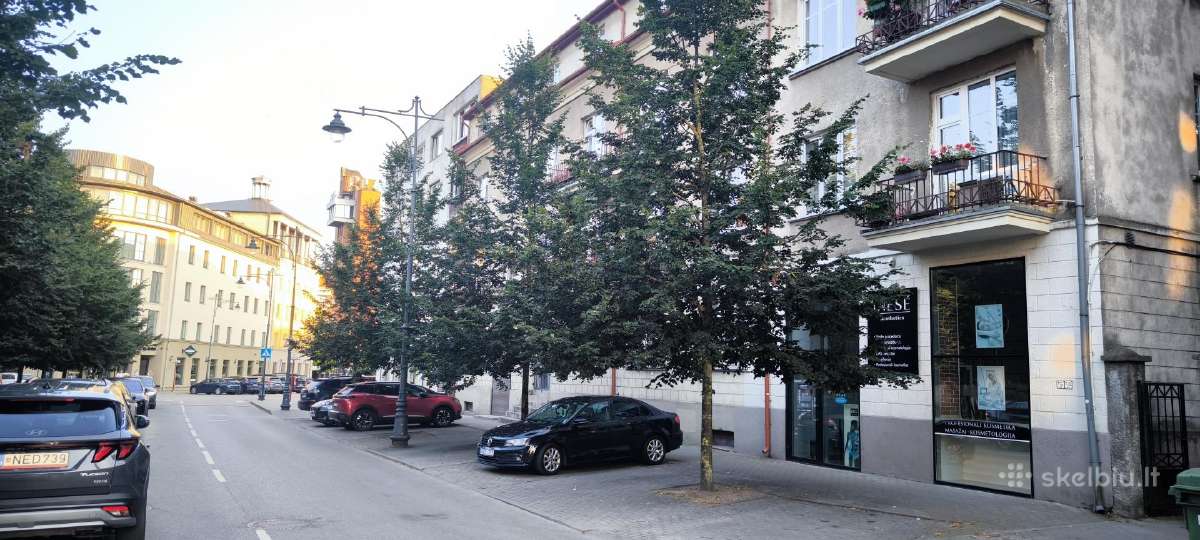 Nuomojamos patalpos, centre, Šimkaus g. - nuotraukos Nr. 33