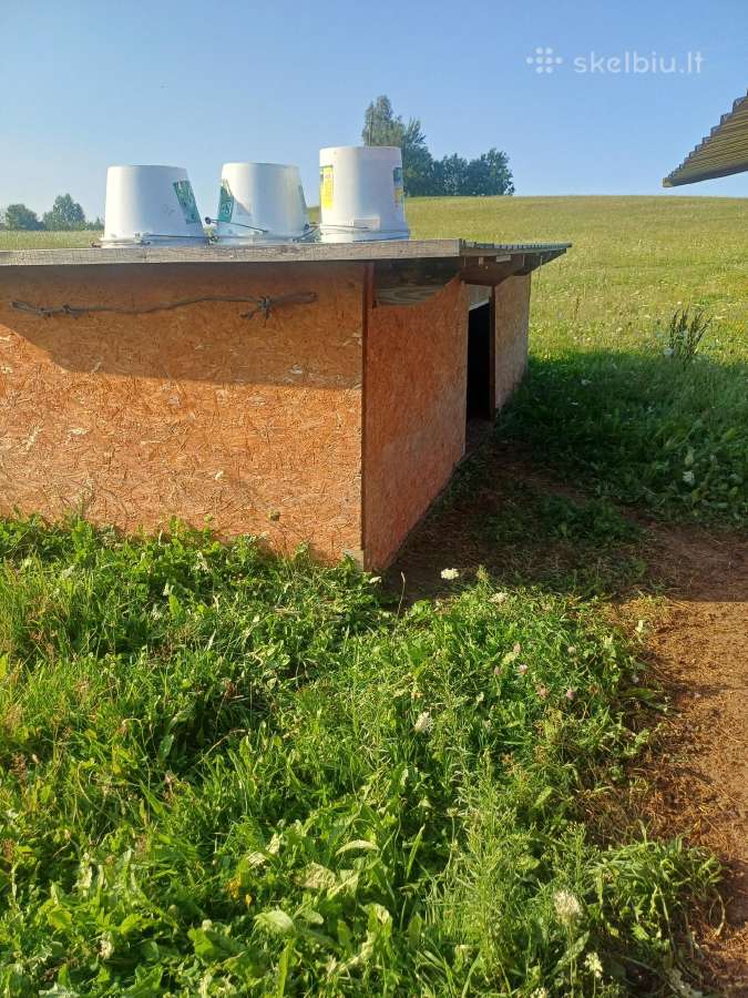 Parduodami avių nameliai - nuotraukos Nr. 2