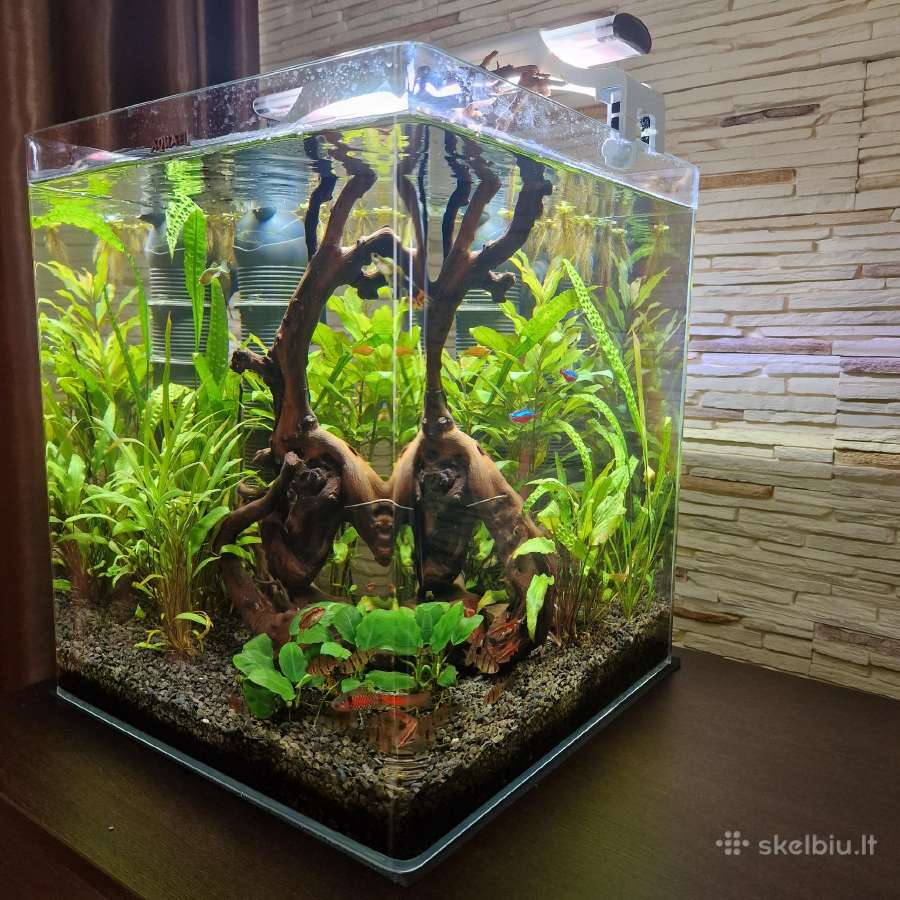Akvariumas Aquael Optibent 70 - nuotraukos Nr. 2