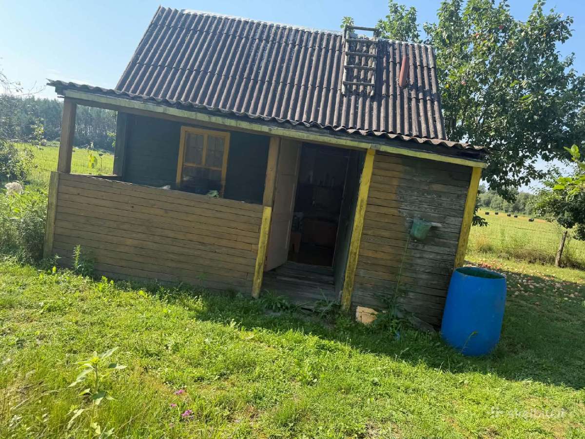 Kolektyvinis sodas - nuotraukos Nr. 3