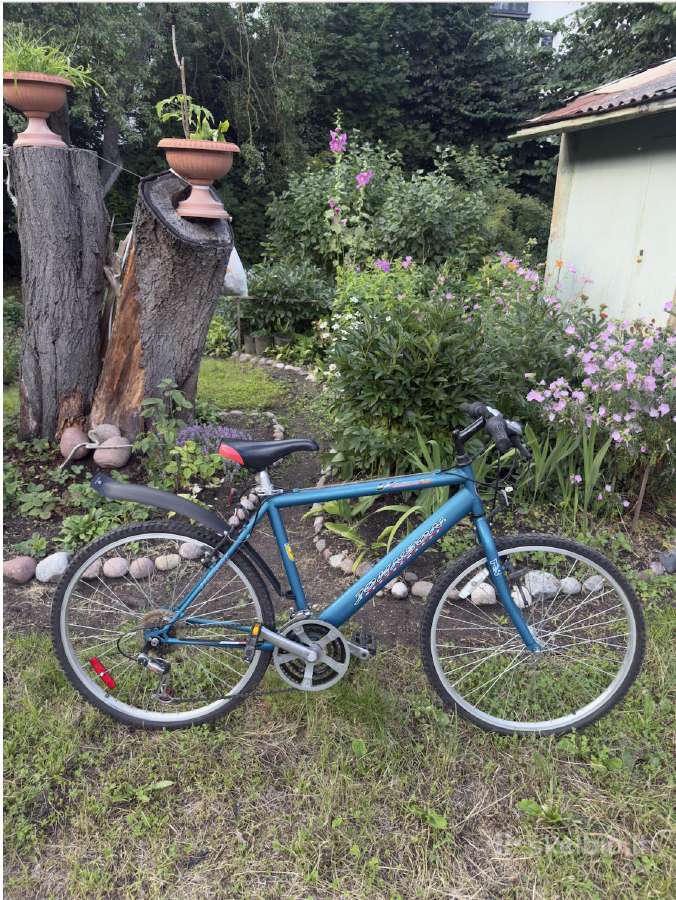 Johnson Voyager 26 dviratis, 21 Shimano pavara - nuotraukos Nr. 4