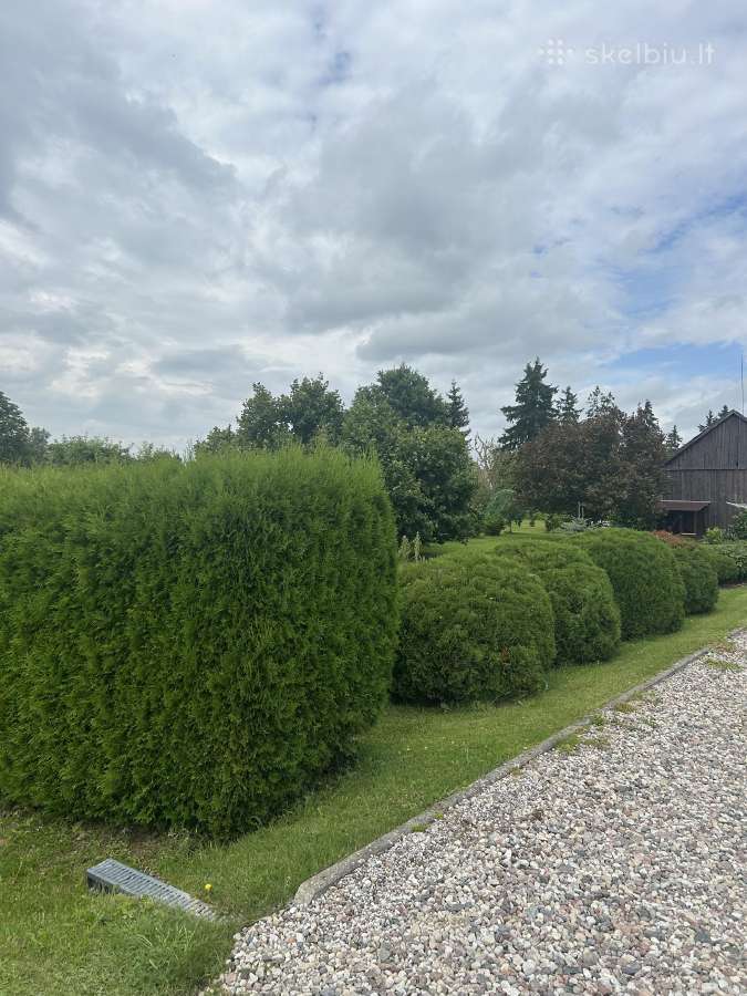 Stakių miestelyje Jurbarko rajoneparduodama - nuotraukos Nr. 8