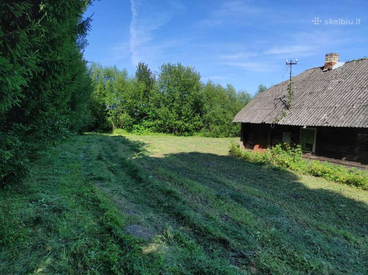 Rami graži vieta senas rąstų namas didelis sklypas - nuotraukos Nr. 4