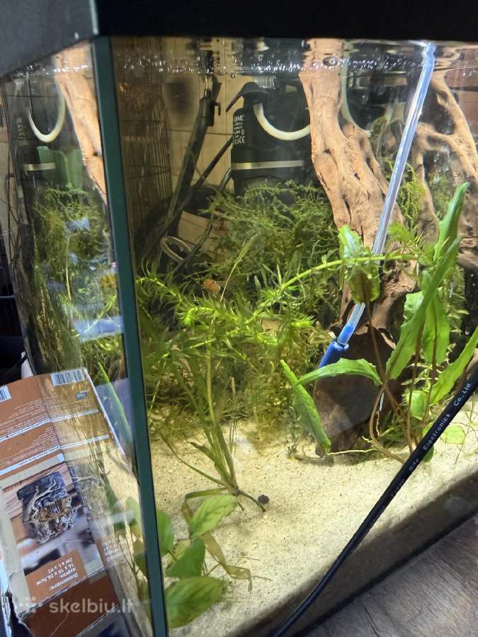 Akvariumas 40-30-30 - nuotraukos Nr. 4